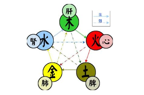 土金水|五行（对万事万物的取象比类）